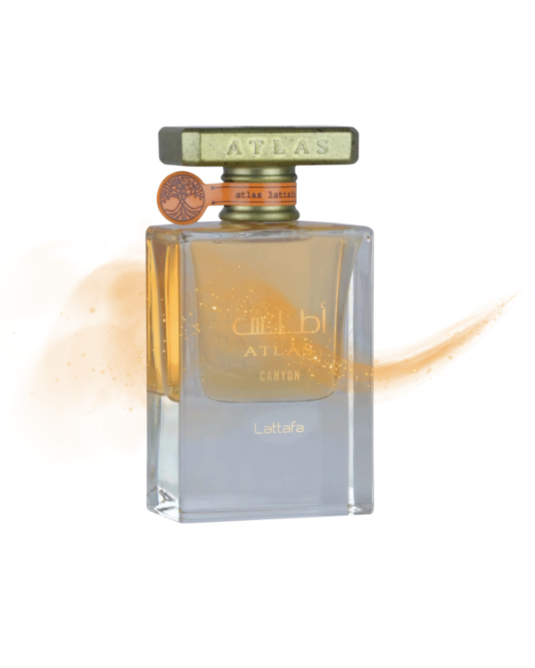 Fragrance World Barakkat Satin Oud – aromatas artimas MFK Oud Satin Mood – aromato nuotrauka
